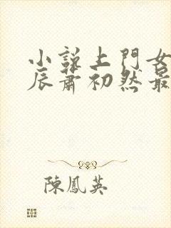 小说上门女婿叶辰萧初然最新篇章封面