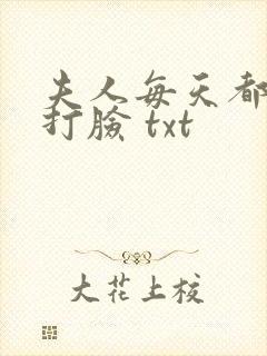 夫人每天都在线打脸 txt