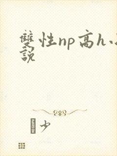 双性np高h小说封面