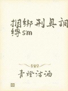 捆绑刑具调教束缚sm