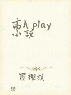 高h play小说