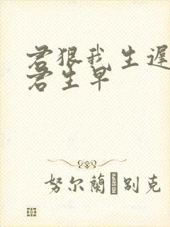 君狠我生迟我恨君生早封面