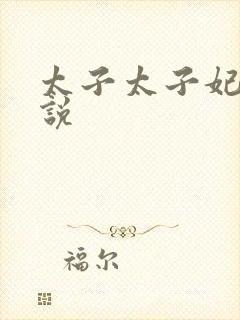 太子太子妃的小说