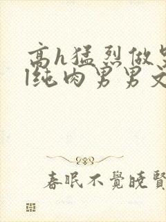 高h猛烈做哭bl纯肉男男文