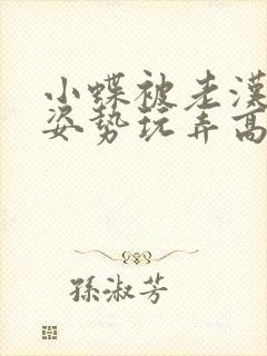 小蝶被老汉各种姿势玩弄高h小说封面