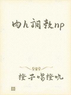 肉h调教np