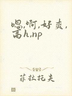 嗯,啊,好爽,高h,np