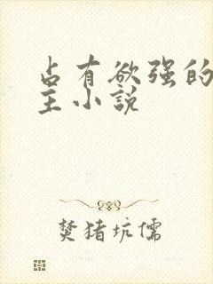 占有欲强的双男主小说