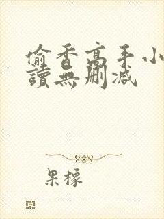 偷香高手小说阅读无删减