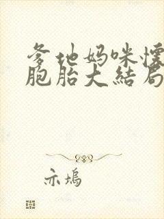 爹地妈咪怀了三胞胎大结局封面