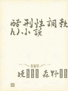 酷刑性调教(高h)小说