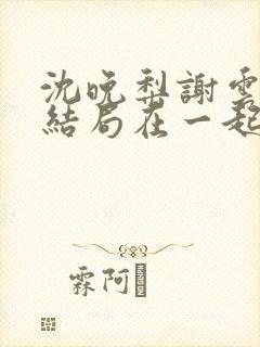 沈晚梨谢云迟大结局在一起了嘛封面