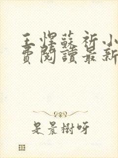 王悍苏祈小说免费阅读最新章节