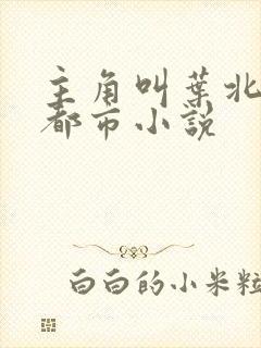 主角叫叶北辰的都市小说