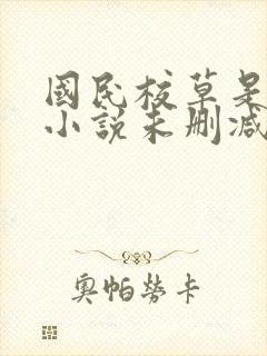 国民校草是女生小说未删减版封面