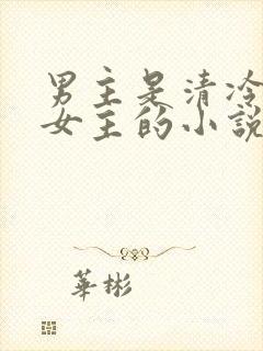 男主是清冷丞相女主的小说封面