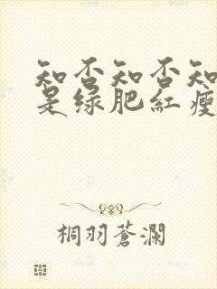 知否知否知否应是绿肥红瘦dvd版在线观看