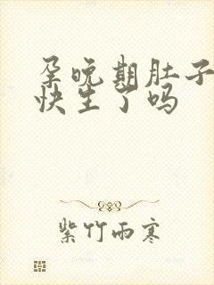 孕晚期肚子大是快生了吗