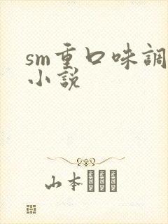 sm重口味调教小说