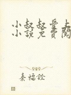 小叔叔爱上侄女小说免费阅读封面