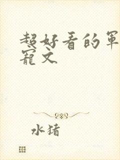 超好看的军婚甜宠文