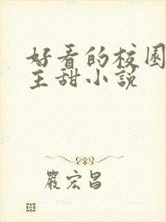 好看的校园双男主甜小说封面