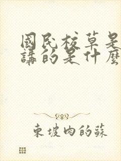 国民校草是女生讲的是什么封面