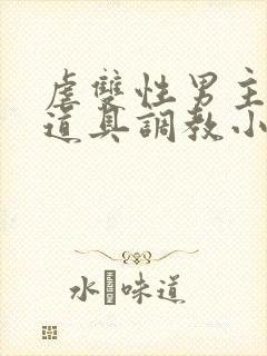 虐双性男主身的道具调教小说