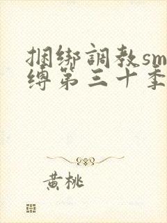 捆绑调教sm束缚第三十季