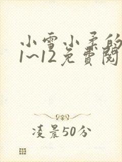 小雪小柔的日记1~12免费阅读封面