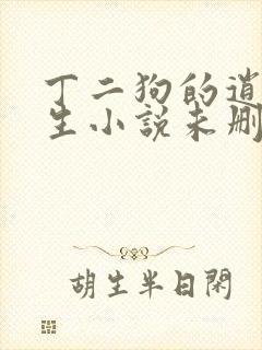 丁二狗的逍遥人生小说未删减版