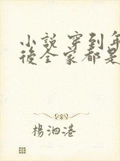 小说 穿到年代后全家都是极品封面