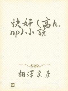 快奸 (高h.np)小说封面