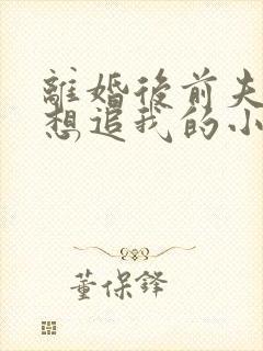 离婚后前夫总是想追我的小说