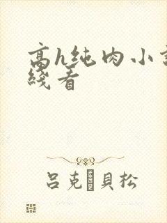 高h纯肉小说在线看