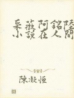 采薇阿铭陆三平小说在人间