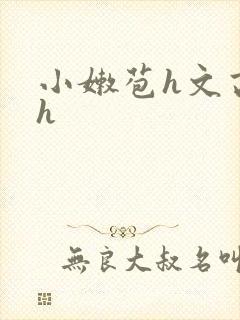 小嫩苞h文高辣h