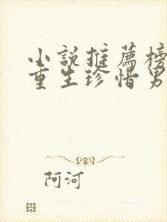 小说推荐榜女主重生珍惜男主