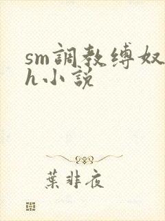 sm调教缚奴高h小说