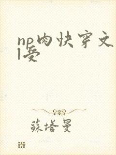 np肉快穿文bl受