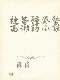 被各种姿势c到高潮的小说封面