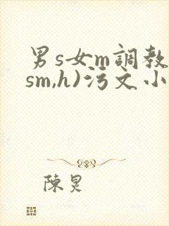 男s女m调教(sm,h)污文小说