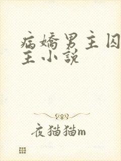 病娇男主囚禁女主小说