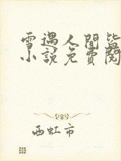 雪遇人间皆是你小说免费阅读