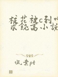 校花被c到呻吟求饶高小说