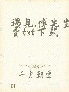 遇见,傅先生免费txt下载