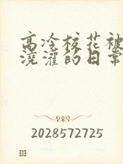 高冷校花被校草浇灌的日常小说结局