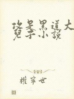 攻是黑道大佬的儿子小说