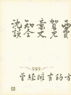 沈知意贺西洲小说全文免费阅读封面