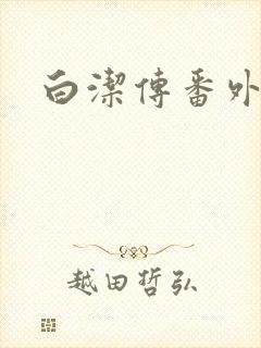 白洁传番外篇